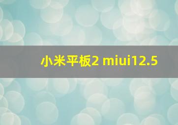 小米平板2 miui12.5